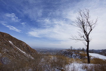 九里山雪霁