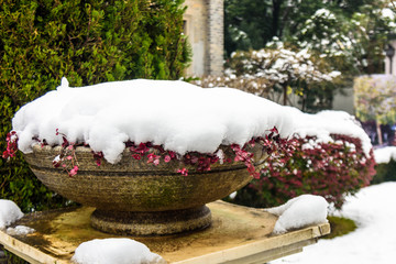 南京总统府雪景