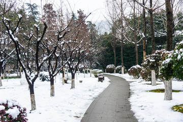 南京总统府雪景