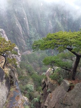 人间仙境