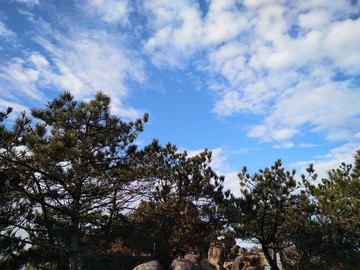 蓝天