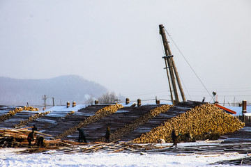 冬季木材贮存