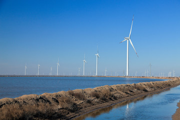 沿海的风力电场 风车 风力发电