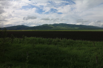 沃土 田野