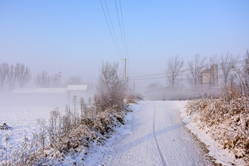 雪景 乡村