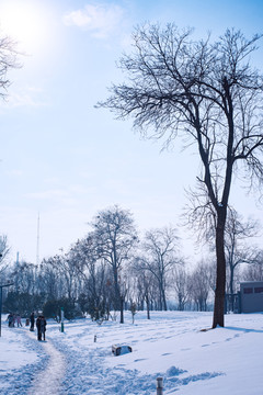 雪景