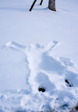 雪地