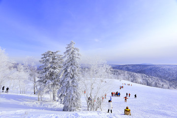 雾凇 冰雪风光 雪景 蓝天白云