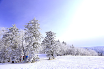 雾凇 冰雪风光 雪景 蓝天白云