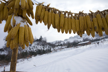 雪乡