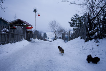 雪乡