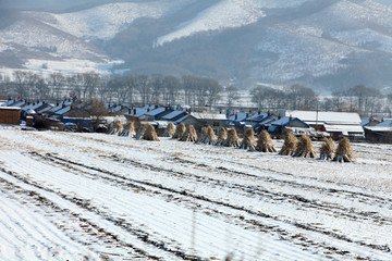 雪野