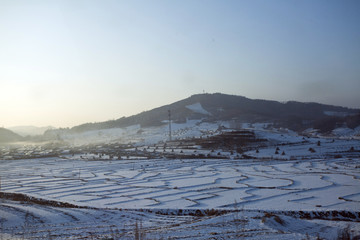 雪野