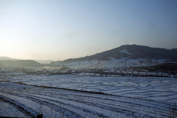 雪野