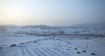 雪野