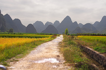 风景