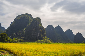 风景