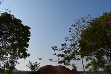剪影和天空