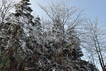 冰天雪地