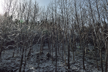 冰天雪地