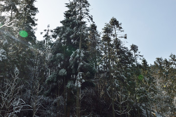 冰天雪地