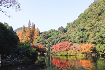 杭州秋冬 九溪十八涧