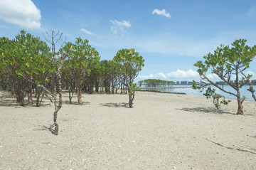 厦门海边