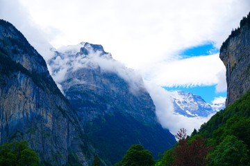 高山云雾