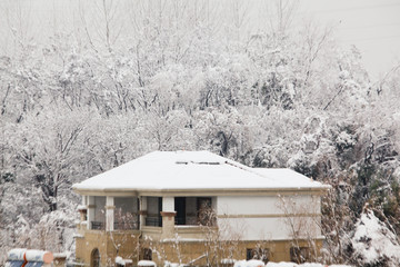 雪中别墅
