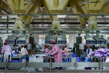 洗涤剂厂 化工厂 厂房 生产线