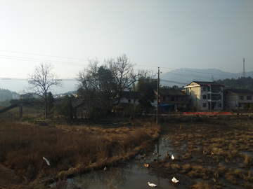 乡村风景