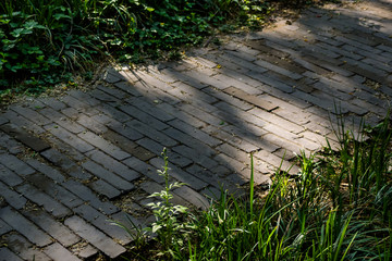 小路