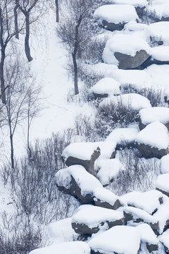 雪景