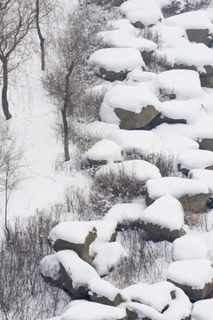 雪景