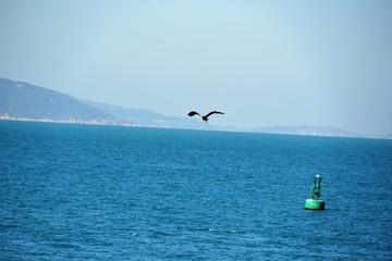 广东珠海