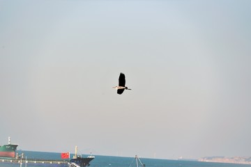 广东珠海