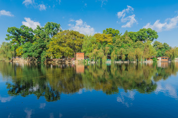 园林风景