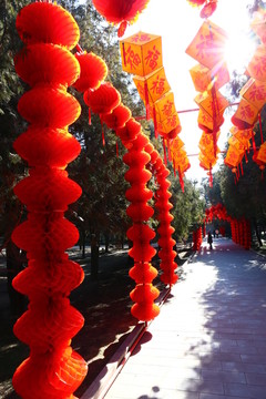 春节小路挂满红灯笼 北京地坛