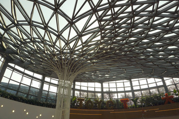玻璃穹顶 采光设计 空间设计