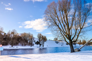 冬天公园湖泊雪景