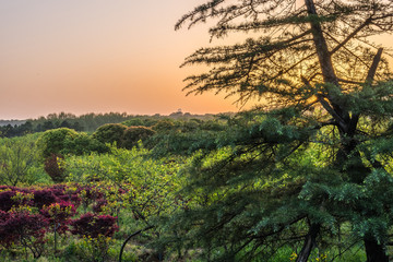 山林日落美景