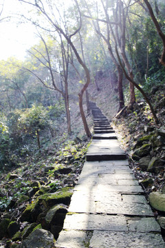 登山小路