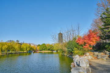 水景观公园 上海宝山临江公园