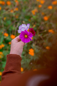 手拿花朵