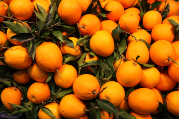 水果 橘子 桔子