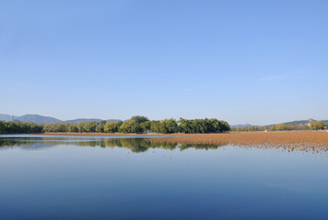 湖光远山塔影秋