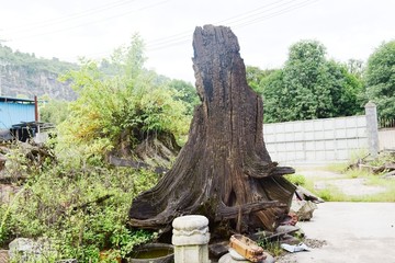 阴沉木乌木