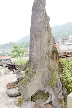 阴沉木乌木