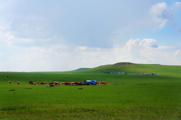 内蒙古锡林郭勒大草原