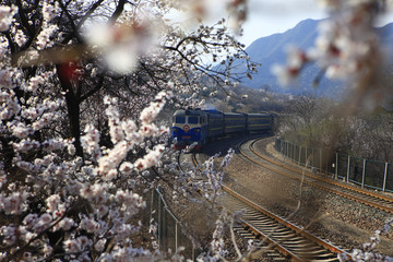 开往春天的火车
